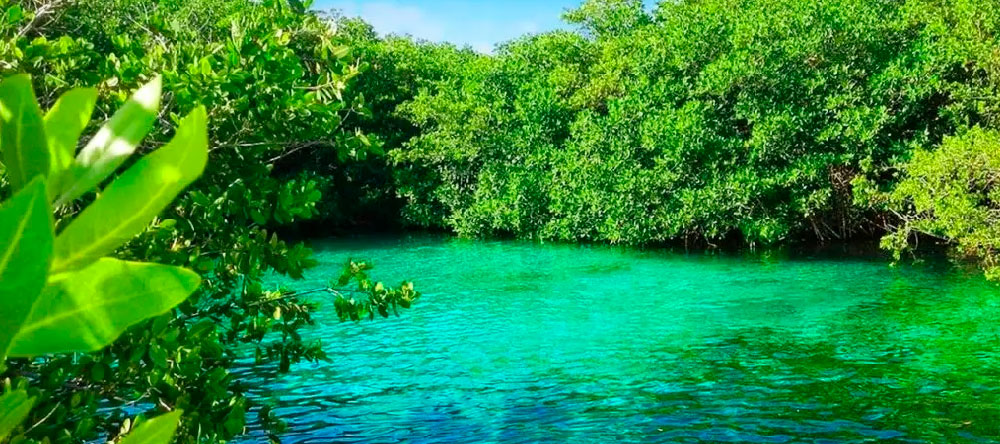 cenote